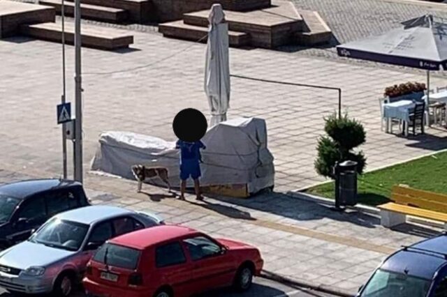Καβάλα: Άνδρας ξυλοκόπησε αδέσποτους σκύλους και μία γυναίκα