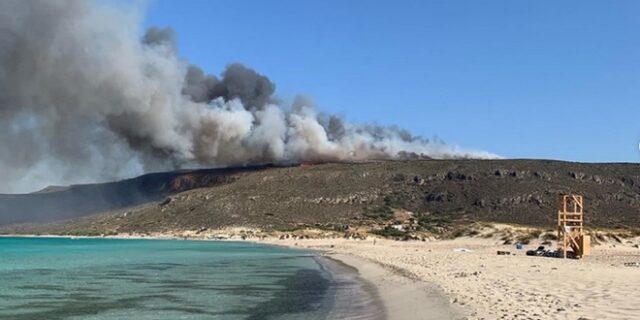 Φωτιά στην Ελαφόνησο: Τεράστια οικολογική και οικονομική καταστροφή – Έφυγαν 10.000 άνθρωποι