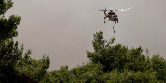 Νέα φωτιά στην Ιστιαία της Εύβοιας