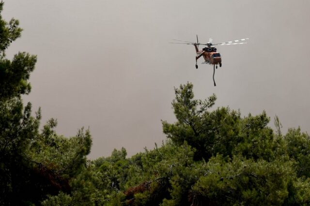 Νέα φωτιά στην Ιστιαία της Εύβοιας