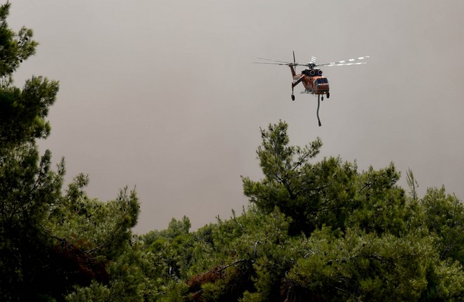 Νέα φωτιά στην Ιστιαία της Εύβοιας