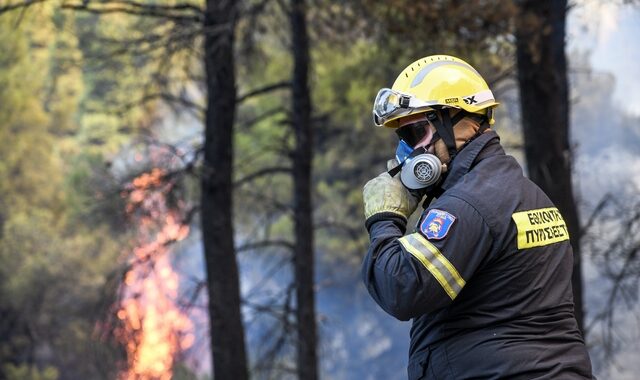 Σε εξέλιξη φωτιά στον Λούρο Πρεβέζης