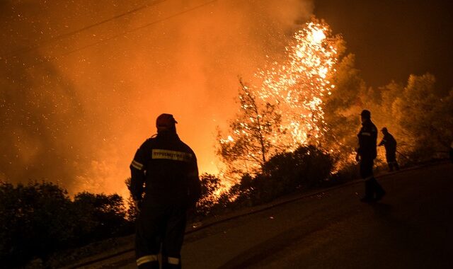 Φωτιά στην Εύβοια: Στη μάχη τα ερπυστριοφόρα για αντιπυρικές ζώνες – Μαίνεται το μέτωπο κοντά στο χωριό Πλατάνια