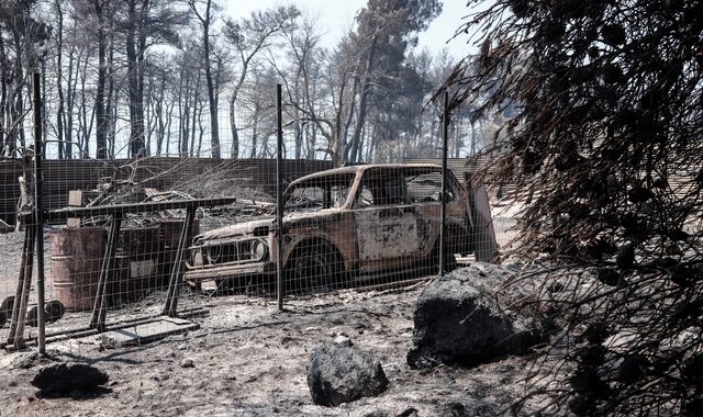 Φωτιά στην Εύβοια: Όλα τα στοιχεία δείχνουν εμπρησμό – Οι τρεις καταθέσεις που έχουν μπει στο μικροσκόπιο