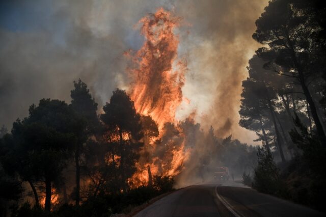 Φωτιά στην Εύβοια: Μεγάλη οικολογική καταστροφή – Σε συναγερμό οι αρχές
