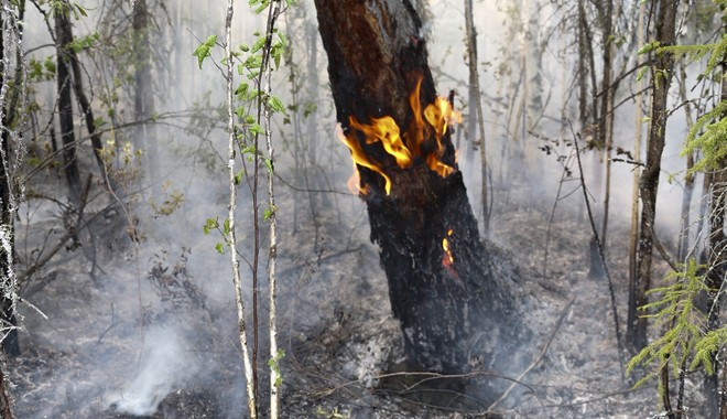 Η Σιβηρία στις φλόγες: Ανυπολόγιστη η καταστροφή – Μέτωπο φωτιάς 28 εκατ. στρεμμάτων
