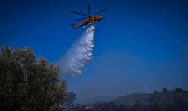 Φωκίδα: Σε εξέλιξη φωτιά κοντά σε οικισμό στη Δωρίδα