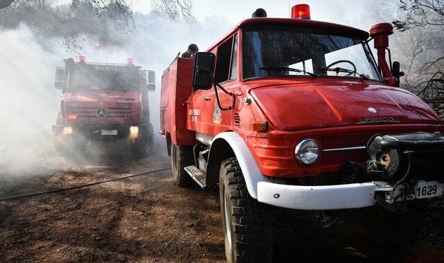 Κίνδυνος φωτιάς: Απαγόρευση κυκλοφορίας στο Εθνικό Πάρκο Σχινιά – Μαραθώνα την Τετάρτη