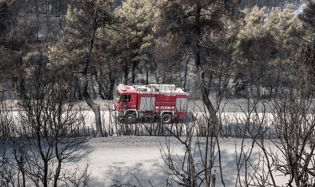 Χωρίς ενεργό μέτωπο η φωτιά στην Εύβοια – Μάχη για να την οριοθετήσουν δίνουν πυροσβέστες και εθελοντές