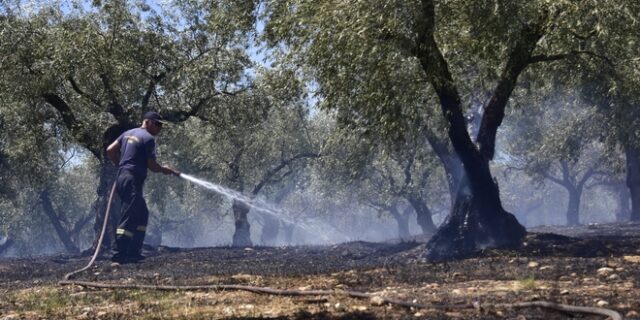 Φωτιά στο Μοναστηράκι Αργολίδας