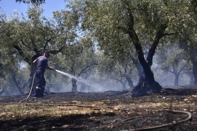 Φωτιά στο Μοναστηράκι Αργολίδας