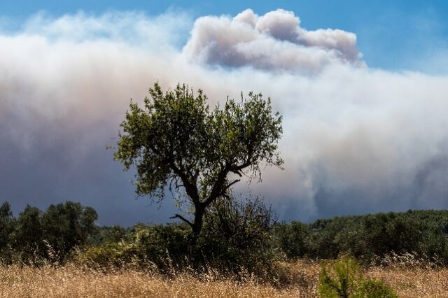 Σε εξέλιξη φωτιά στο Πετρωτό Δομοκού