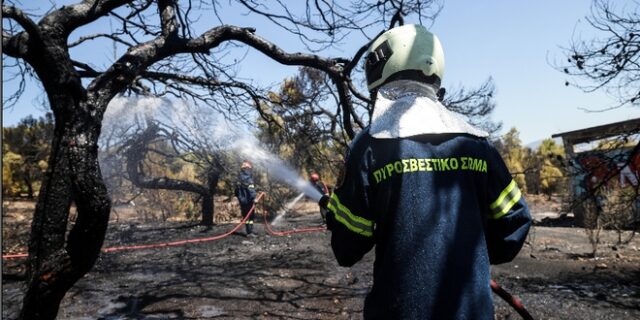 Υπό μερικό έλεγχο τέθηκε η φωτιά στην Λεύκη Καστοριάς