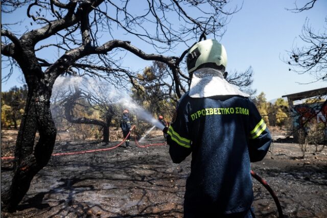 Υπό μερικό έλεγχο τέθηκε η φωτιά στην Λεύκη Καστοριάς