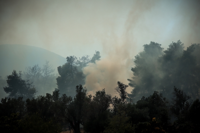 Φωτιά σε δασική έκταση στην Κεφαλονιά