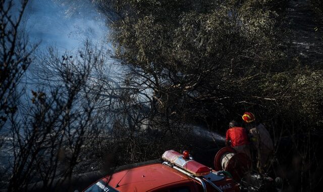 Υπό πλήρη έλεγχο η φωτιά στην Παιανία