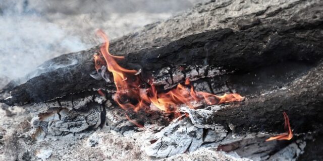 Φυλάκιση τεσσάρων ετών σε εμπρηστή – Συνελήφθη για 10 φωτιές στην Μεσσηνία