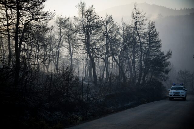 Φωτιά στην Εύβοια: Βίντεο-σοκ καταγράφει την απόλυτη καταστροφή
