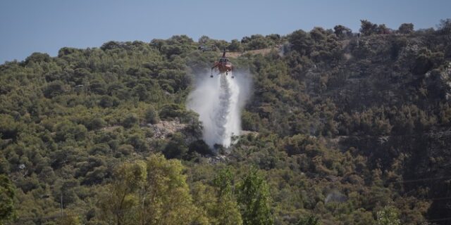 Σε εξέλιξη φωτιά στα Άσπρα Σπίτια Διστόμου – Προς ύφεση βαίνουν τα υπόλοιπα μέτωπα