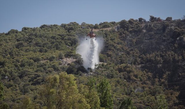 Σε εξέλιξη φωτιά στα Άσπρα Σπίτια Διστόμου – Προς ύφεση βαίνουν τα υπόλοιπα μέτωπα