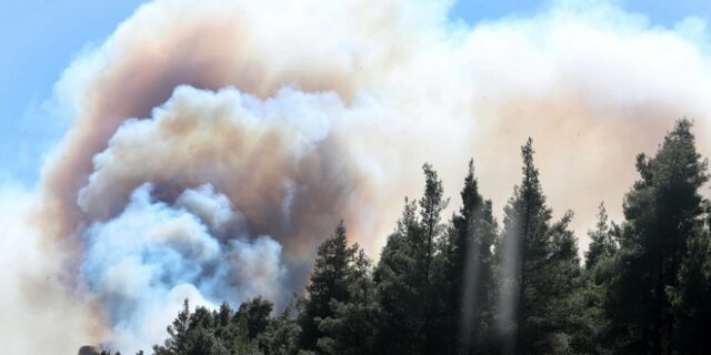 Ζάκυνθος: Μεγάλη φωτιά σε δασική έκταση