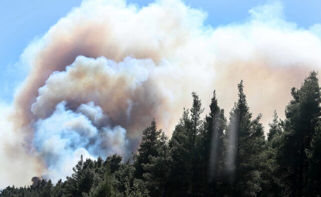 Σε ύφεση η φωτιά στο Χαϊδάρι – Υπό μερικό έλεγχο η φωτιά στο Αμύνταιο Φλώρινας