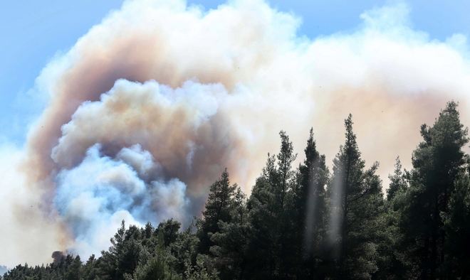 Ζάκυνθος: Μεγάλη φωτιά σε δασική έκταση