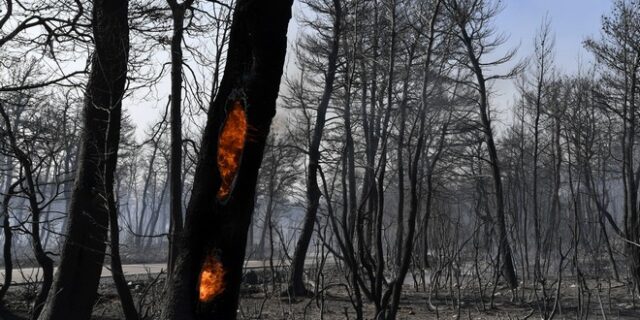 Φωτιά στην Εύβοια: Αναζωπύρωση στο χωριό Μακρυμάλλη