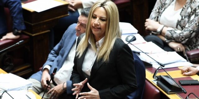 Γεννηματά για άσυλο: Να δοθεί ρεαλιστική λύση με ευρύτατη πλειοψηφία