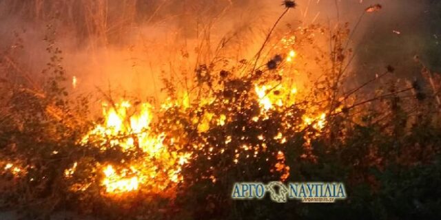 Φωτιά: Δύο εστίες στη Νέα Κίο, Άργους