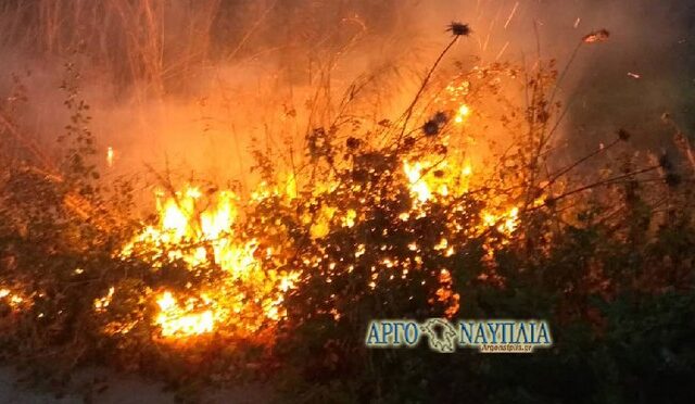 Φωτιά: Δύο εστίες στη Νέα Κίο, Άργους