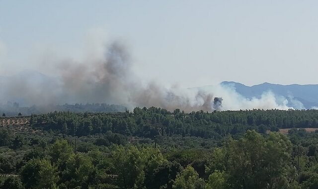 Αρχαία Ολυμπία: “Μάχη” με τις φλόγες στον Ξηρόκαμπο – Μεγάλη κινητοποίηση της Πυροσβεστικής