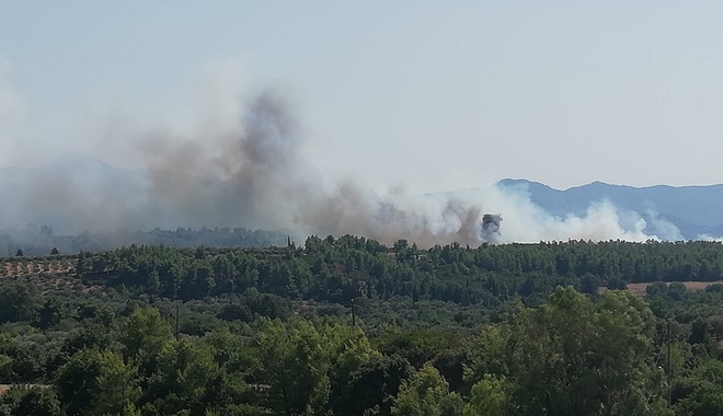 Αρχαία Ολυμπία: “Μάχη” με τις φλόγες στον Ξηρόκαμπο – Μεγάλη κινητοποίηση της Πυροσβεστικής