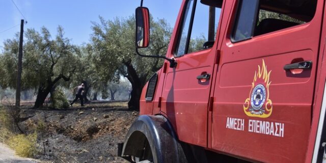 Φωτιά ξέσπασε στην Συχαινά Αχαΐας