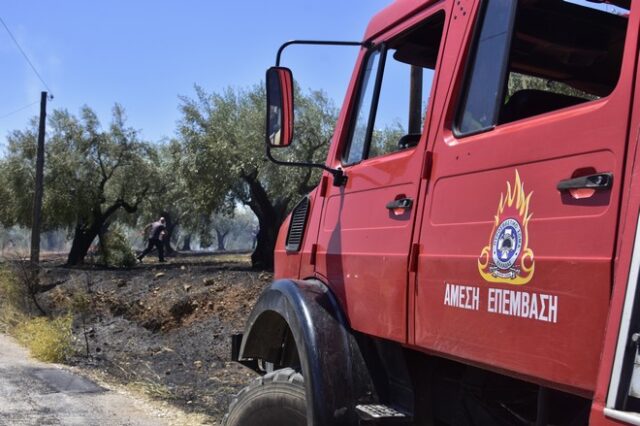 Φωτιά ξέσπασε στην Συχαινά Αχαΐας