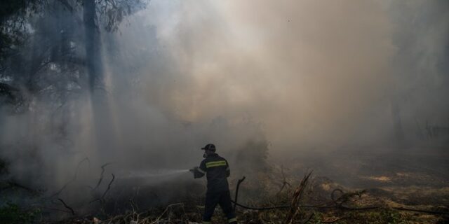 Φωτιά στον Πύργο – Υπό μερικό έλεγχο στην Πύλο