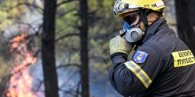 Φωτιά στη Σαρωνίδα: Πήρε γρήγορα μεγάλες διαστάσεις