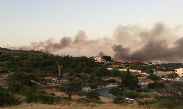 Μεγάλη φωτιά στη Σάμο – Ξεκίνησαν προληπτικές εκκενώσεις ξενοδοχείων