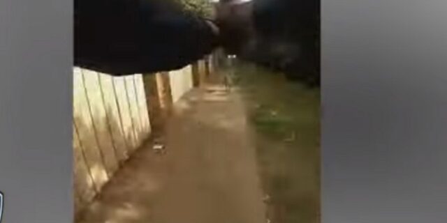 Αστυνομικός πυροβόλησε εξαγριωμένο σκυλί – Νεκρή γυναίκα