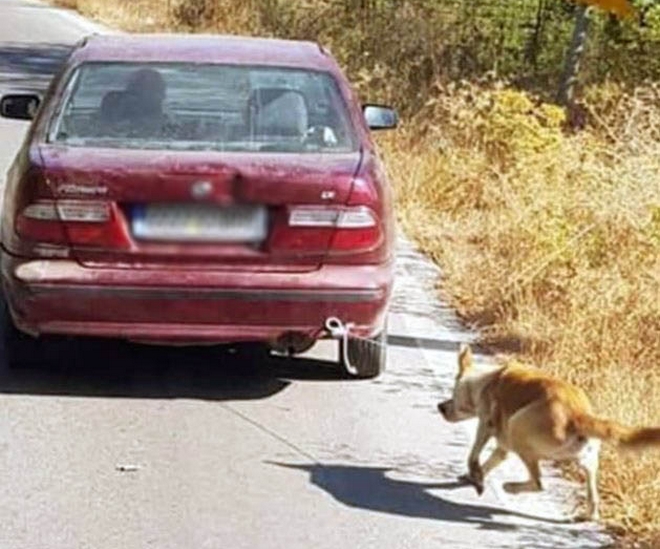 Κτηνωδία στην Κρήτη: Έδεσε σκύλο στον προφυλακτήρα και τον έσερνε
