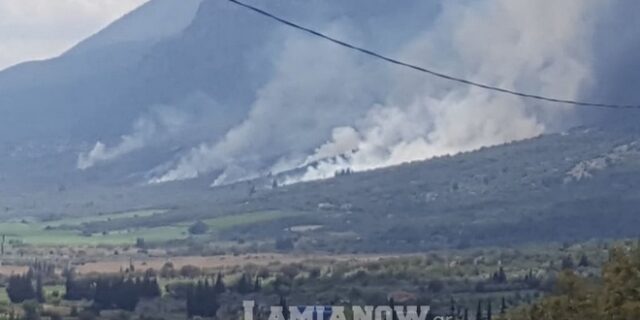 Φωτιά σε αγροτοδασική έκταση στην Τιθορέα