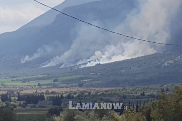 Φωτιά σε αγροτοδασική έκταση στην Τιθορέα