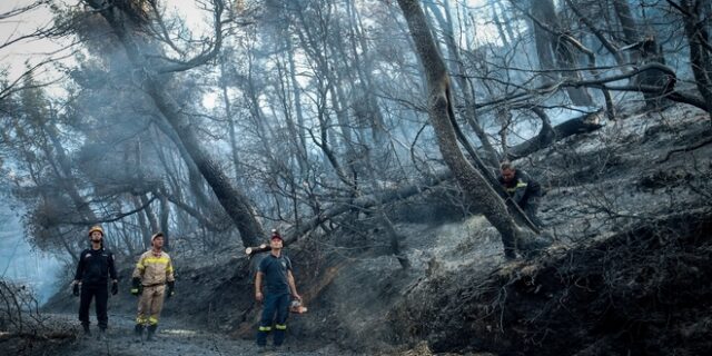 Φωτιά στην Εύβοια: Κρανίου τόπος το πανέμορφο πευκοδάσος – Στάχτη και αποκαΐδια 23.000 στρέμματα