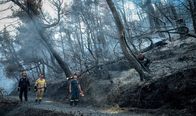 Φωτιά στην Εύβοια: Κρανίου τόπος το πανέμορφο πευκοδάσος – Στάχτη και αποκαΐδια 23.000 στρέμματα