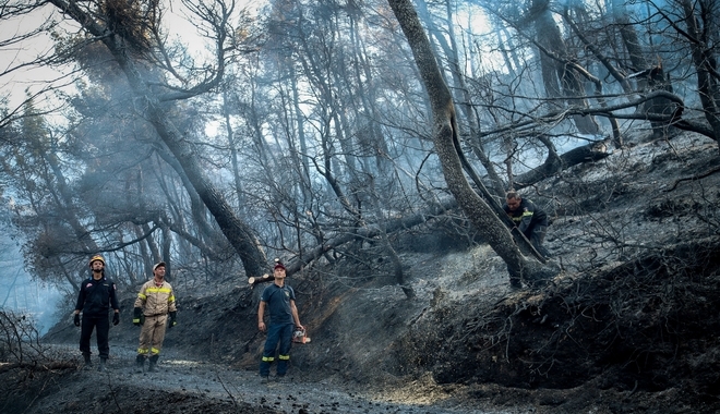 Φωτιά στην Εύβοια: Κρανίου τόπος το πανέμορφο πευκοδάσος – Στάχτη και αποκαΐδια 23.000 στρέμματα