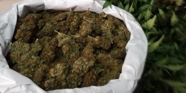 Κέρκυρα: Συνελήφθη 16χρονος για διακίνηση κάνναβης