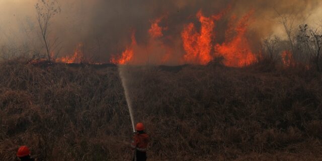 Ποιοι κερδίζουν από την καταστροφή του Αμαζονίου και γιατί τους στηρίζει ο Μπολσονάρου