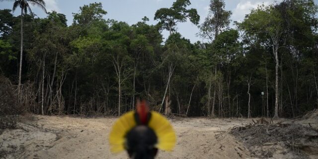 Αμαζόνιος: Διπλασιάστηκε από πέρυσι η αποψίλωση του τροπικού δάσους