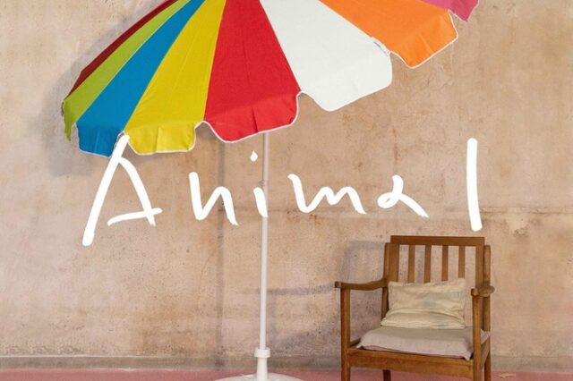 Ο Γιάννης Βαρελάς επιστρέφει με το “Anima I” στο μουσείο Μπενάκη
