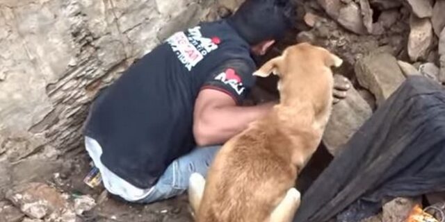 Έσωσε τα κουτάβια της σκάβοντας στα ερείπια